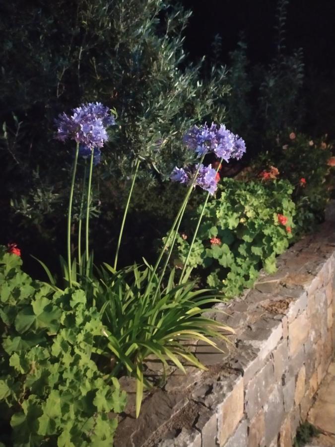 Nefeli Villas Χερσόνησος Εξωτερικό φωτογραφία