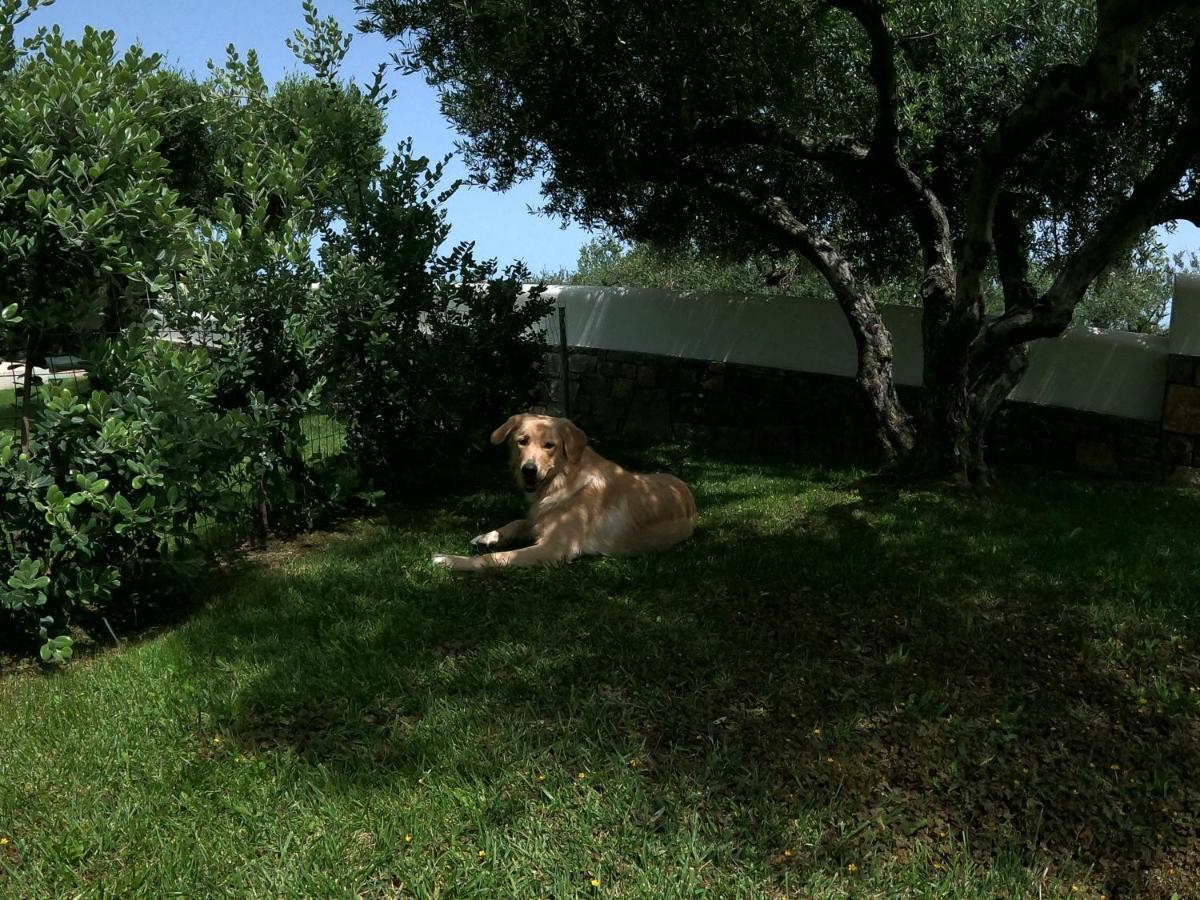 Nefeli Villas Χερσόνησος Εξωτερικό φωτογραφία